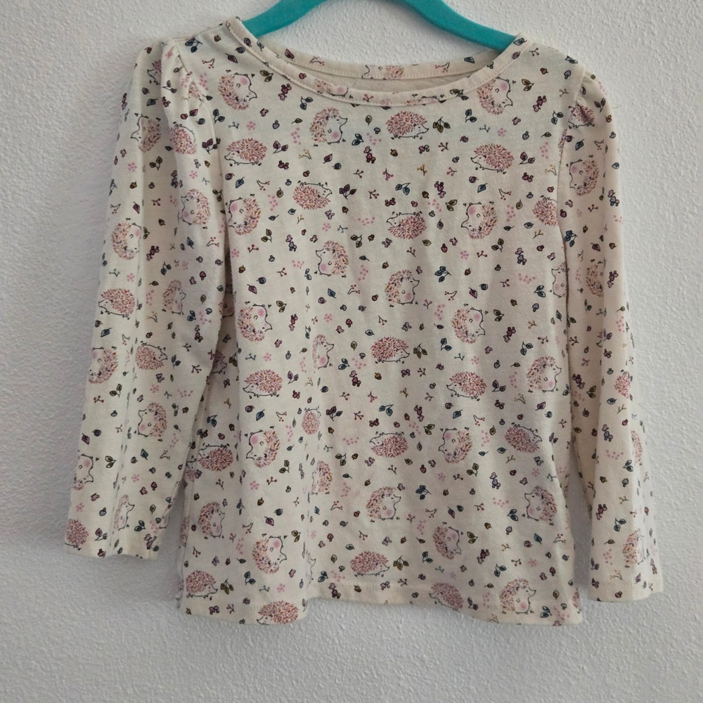 Wonder Nation Girls 4T Hedgehog Floral Long Sleeve T-Shirt Cream WA31100029913
